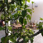 Il Giardinetto 3* Trapani